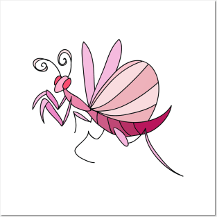 Pink Orchid Mantis Posters and Art